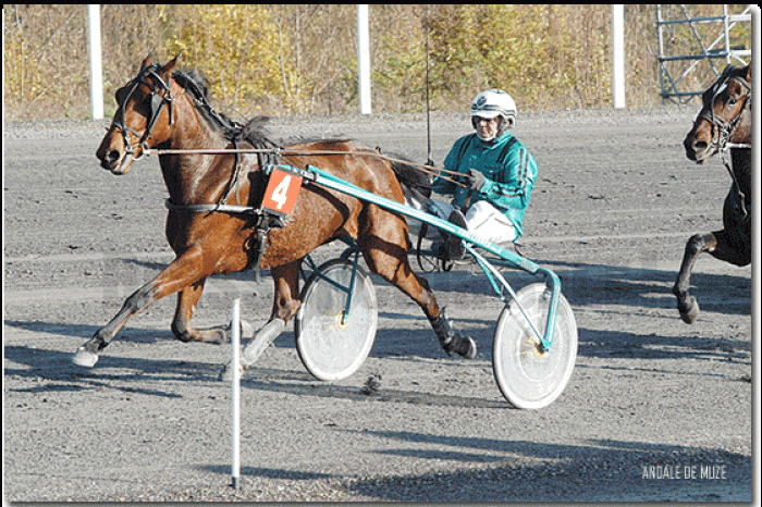 Trot - Groningen (NL)