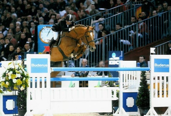 Vigo progeny delivers in Ocala