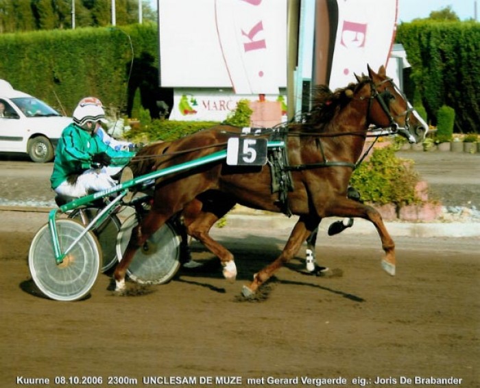KOERS WAREGEM 15/6/2008