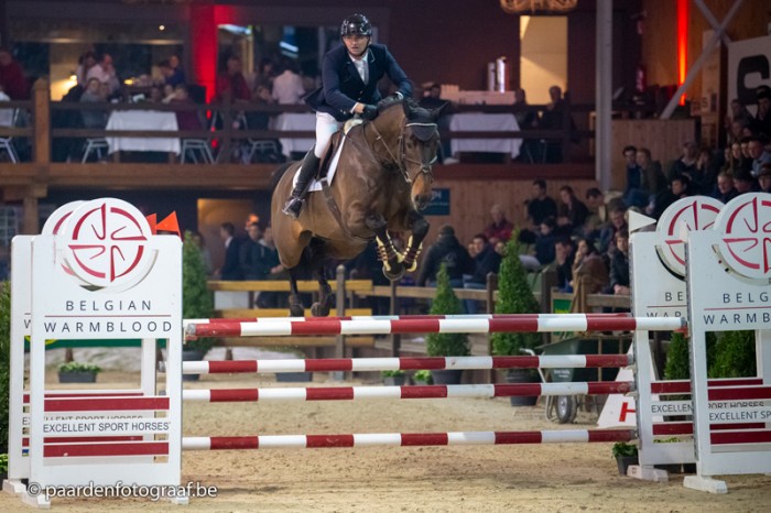 Nakomelingen Stal De Muze hengsten imponeren op BWP Hengstenkeuring