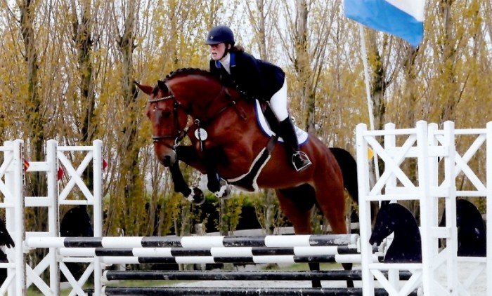 CYCLUS JONGE PAARDEN MOORSELE