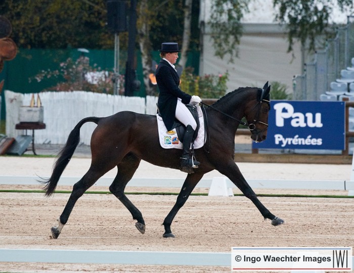 CCI4* PAU: FLETCHA VAN'T VERAHOF