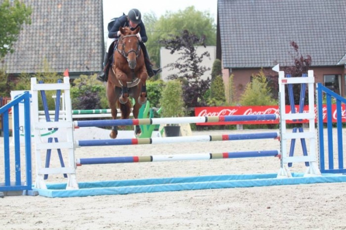 CYCLUS JONGE PAARDEN MOERZEKE