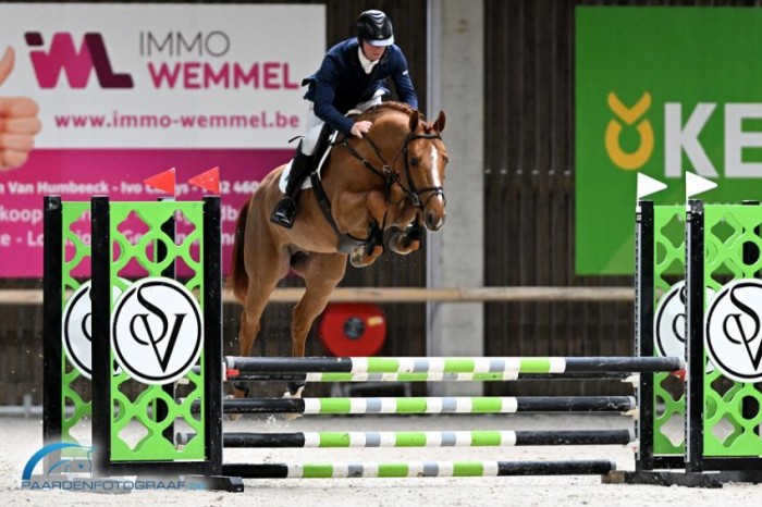 Satisfactory second leg of Belgian Stallion Competition
