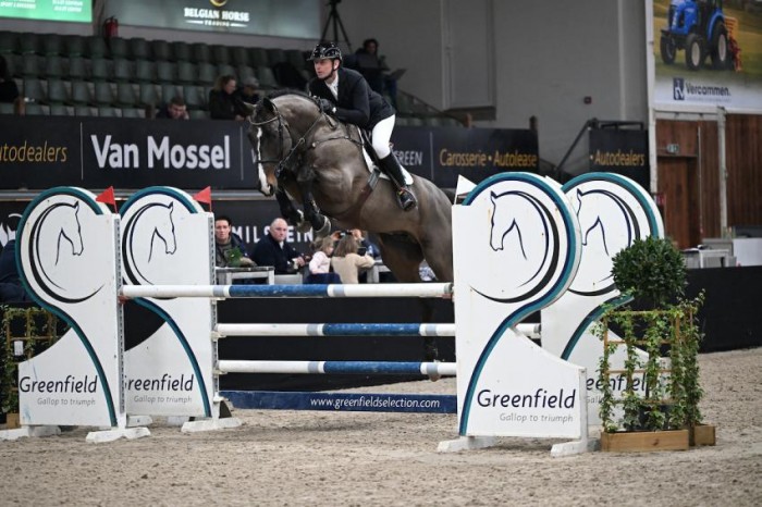 Jonge troeven imponeren in eerste manche hengstencompetitie