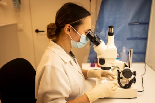 Diensten - OPU/ICSI Centrum