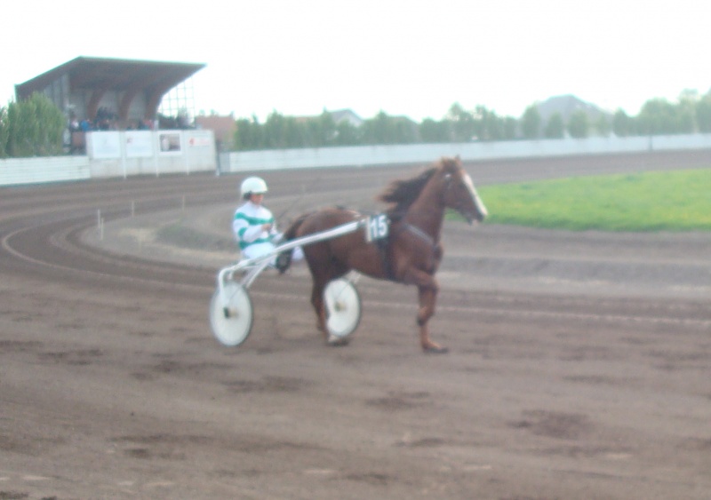 KOERS TONGEREN (11/11/2011)