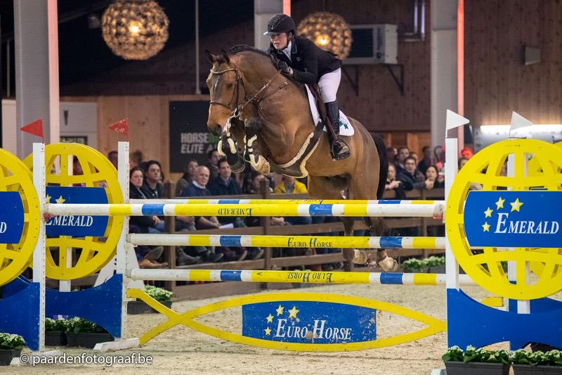 Twee op twee voor Navajo in PAVO hengstencompetitie