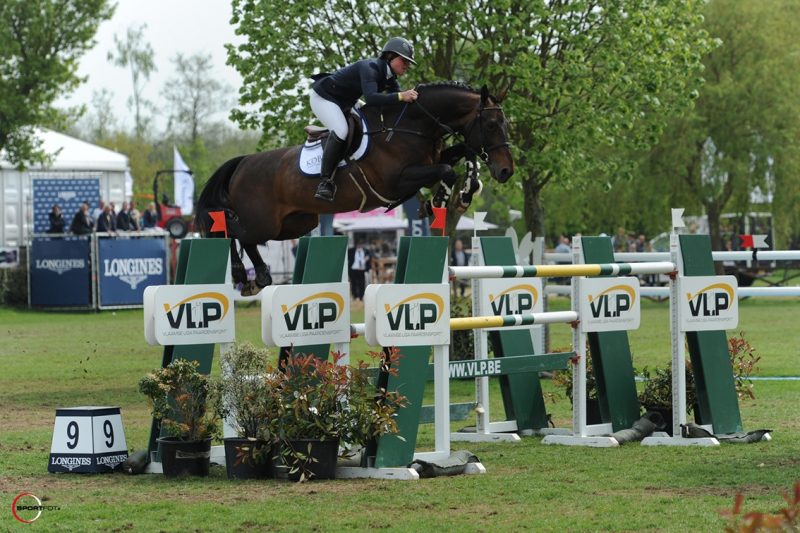 FINALE PAVO HENGSTENCOMPETITIE
