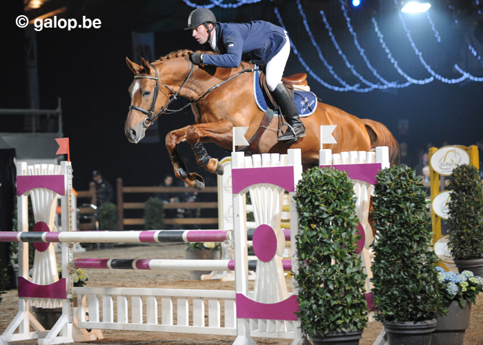 BRITS KAMPIOENSCHAPJONGE PAARDEN