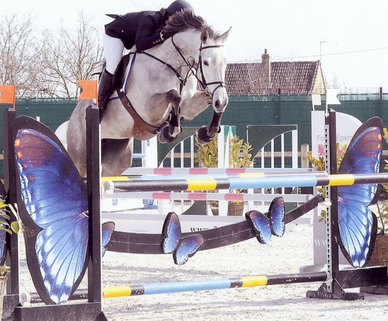 CYCLUS JONGE PAARDEN POTTES