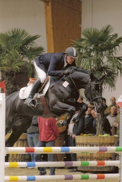 HENGSTENCOMPETITIE WEN HULSTERLO