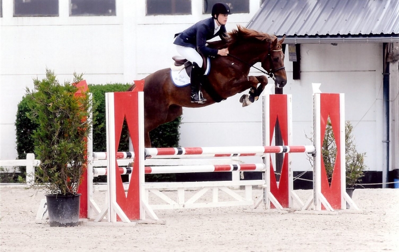 cyclus Jonge paarden Hulsterlo