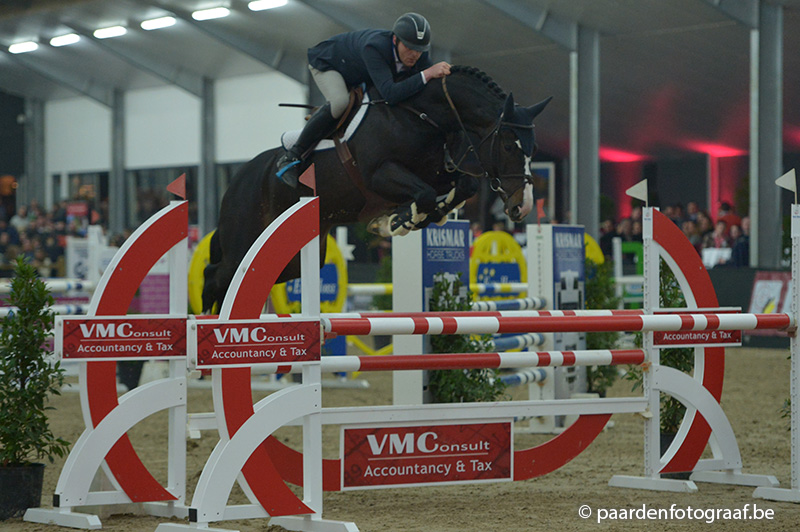 FINALE PAVO HENGSTENCOMPETITIE