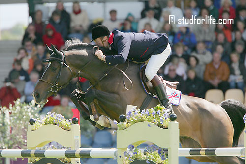 Topspringpaard Marius Claudius overleden