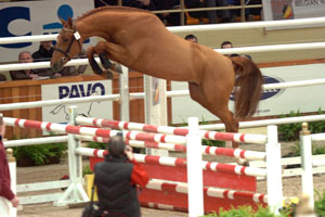 Carembar de Muze bezorgt Prague Lions GCL-winst