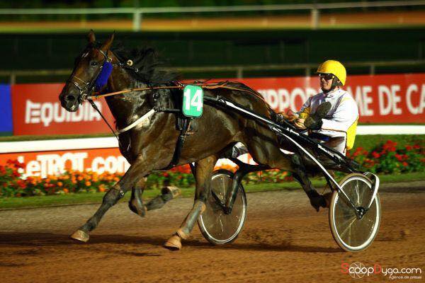 Stal de Muze scoort ook in de drafsport