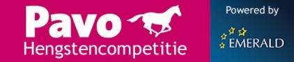 PAVO HENGSTENCOMPETITIE - 5e MANCHE -  Gesves