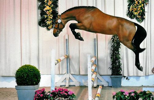 FEI WORLD CUP GOTEBORG